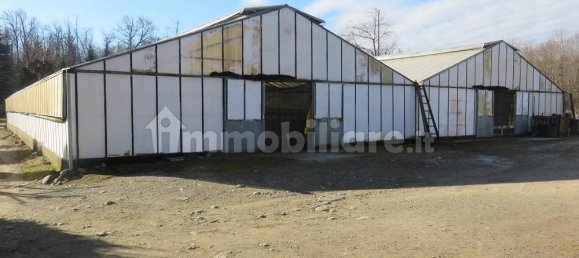 40000m² Land in Varallo Pombia, Italy No. 49738 18