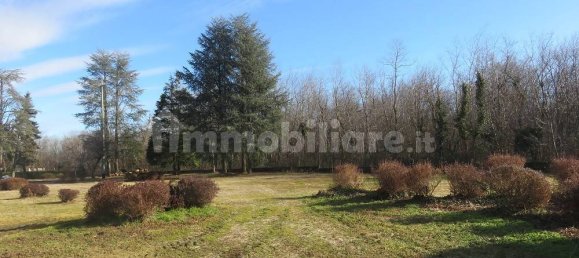 40000m² Land in Varallo Pombia, Italy No. 49738 7