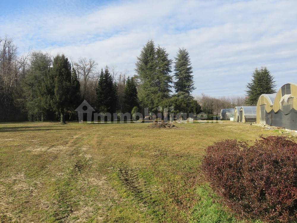40000m² Land in Varallo Pombia, Italy No. 49738