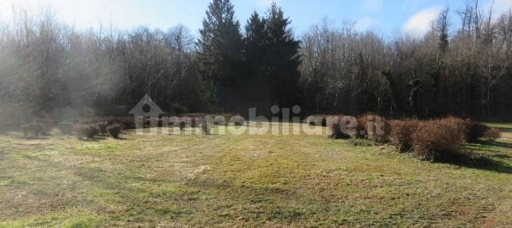 40000m² Land in Varallo Pombia, Italy No. 49738 3
