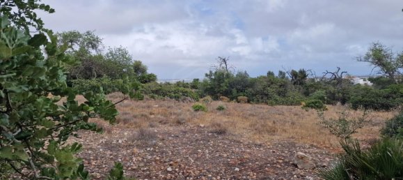 Grundstück in Ferreiras, Portugal 20060m², Nr. 59962 2