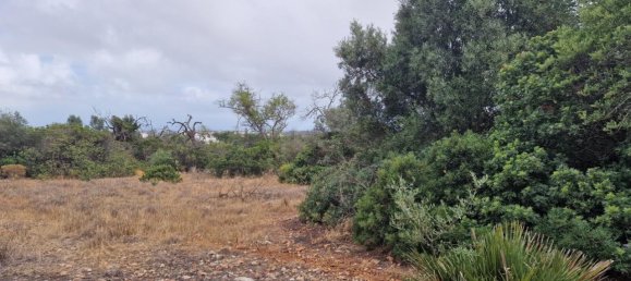 Grundstück in Ferreiras, Portugal 20060m², Nr. 59962 3