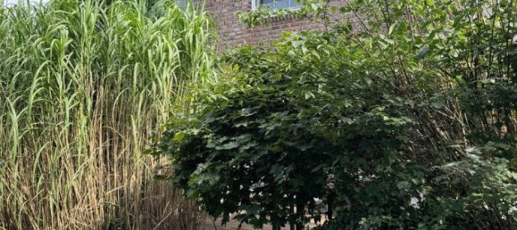 4 rooms House in Schleswig-Holstein, Germany No. 65490 8