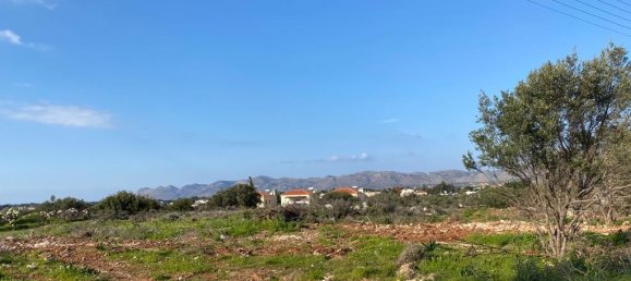 5963m² Hotel in Chania, Greece No. 3287 5