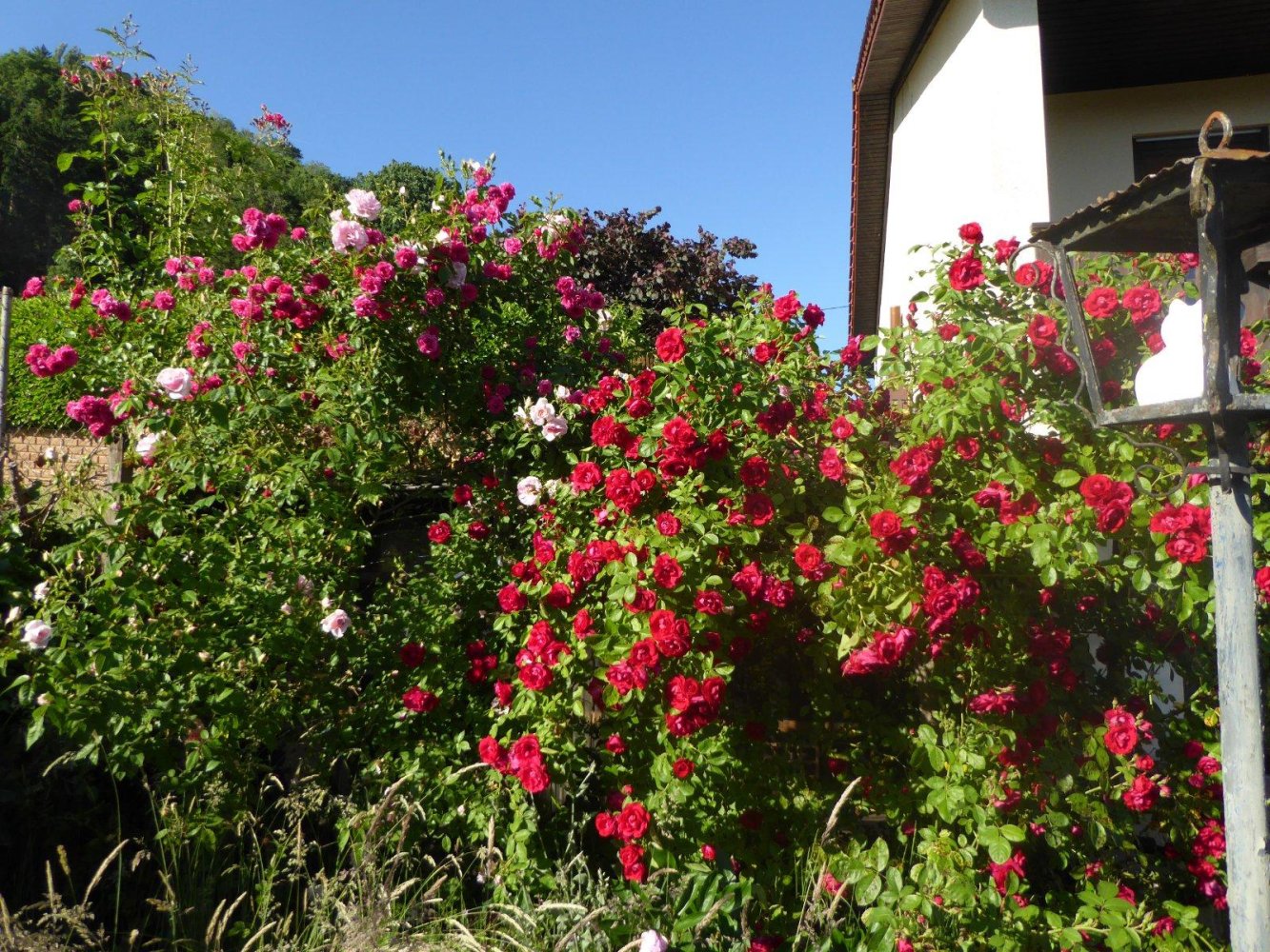 2 bedrooms Townhouse in Merzig-Wadern, Germany No. 295523