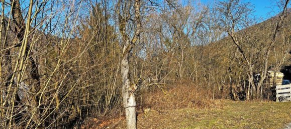  Land in Turnitz, Austria No. 36985 7