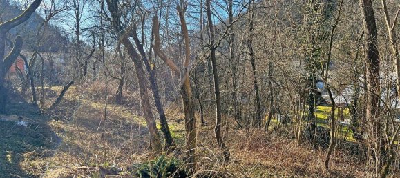  Land in Turnitz, Austria No. 36985 6