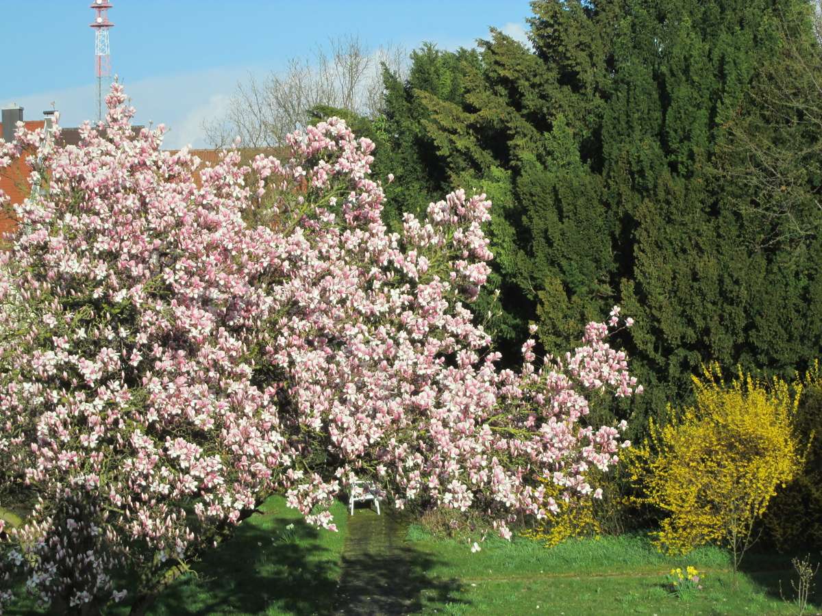 4 غرف نوم منزل في Augsburg, Germany رقم 177773