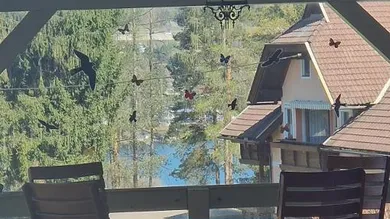 6 rooms House in Velden am Worther See, Austria No. 212128