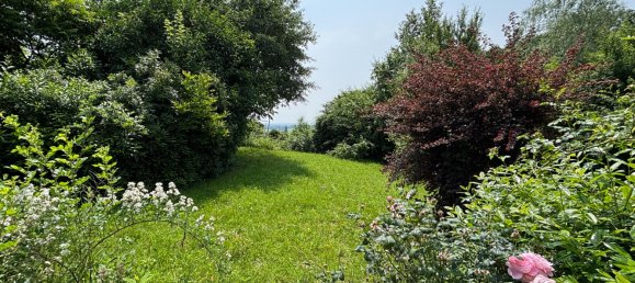 Дом с 5 комнатами в Тауфкирхен ан дер Прам, Австрия № 129533 4