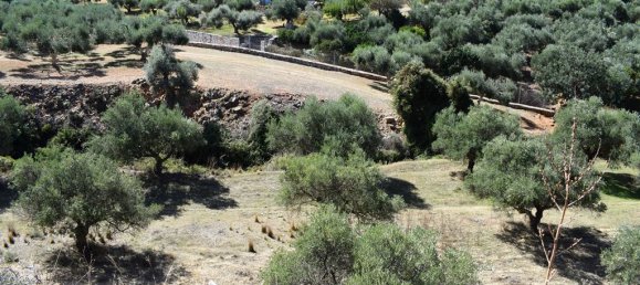 9848m² Hotel in Chania, Greece No. 6005 6