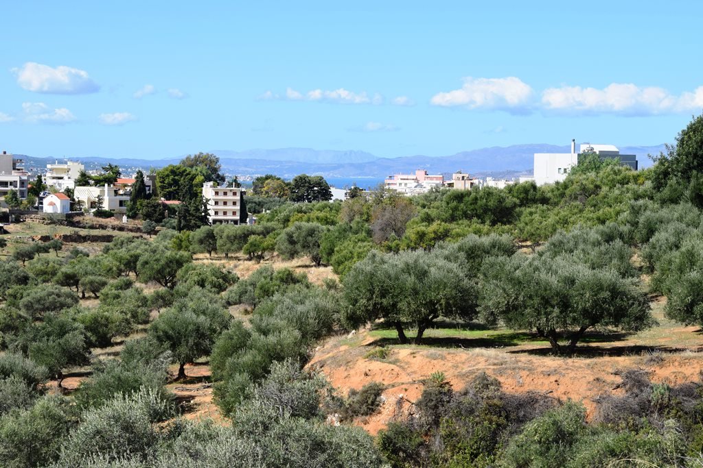  فندق في Chania, Greece 9848متر مربع رقم 6005