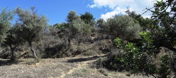 9848m² Hotel in Chania, Greece No. 6005 7