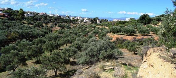 9848m² Hotel in Chania, Greece No. 6005 4