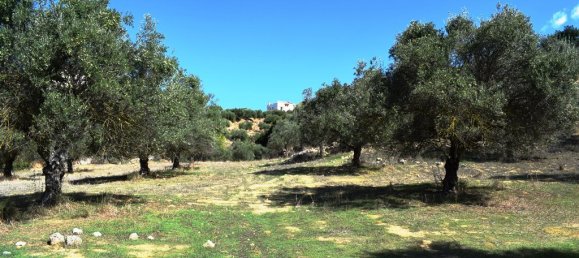 9848m² Hotel in Chania, Greece No. 6005 5