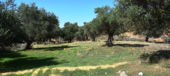 9848m² Hotel in Chania, Greece No. 6005 2