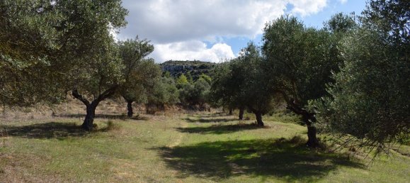 9848m² Hotel in Chania, Greece No. 6005 3