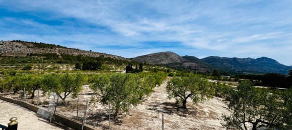 5 bedrooms House in Alicante, Spain No. 165905 8