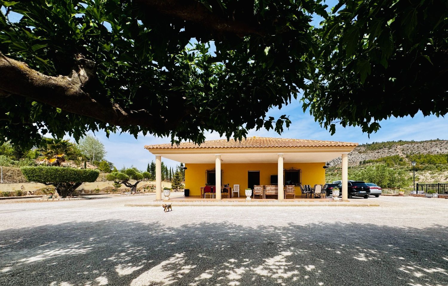 5 bedrooms House in Alicante, Spain No. 165905