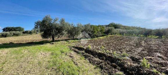 3 rooms House in Verucchio, Italy No. 116918 3