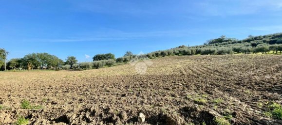 3 rooms House in Verucchio, Italy No. 116918 15