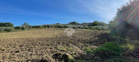 3 rooms House in Verucchio, Italy No. 116918 14