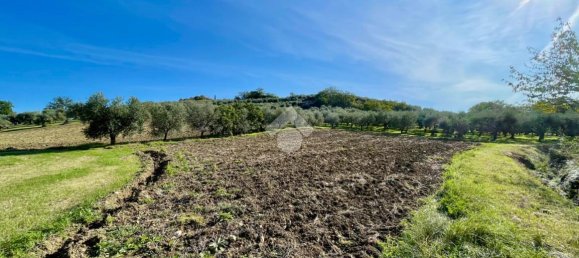 3 rooms House in Verucchio, Italy No. 116918 16