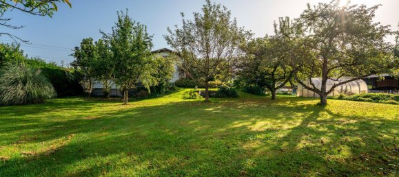 3 bedrooms House in Meiningen, Austria No. 239356 13