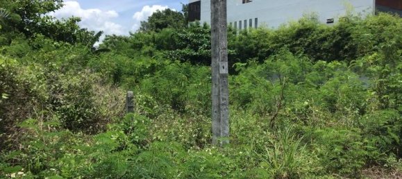  عقار تجاري في Khok Kloi, Thailand 1560متر مربع رقم 8233 3