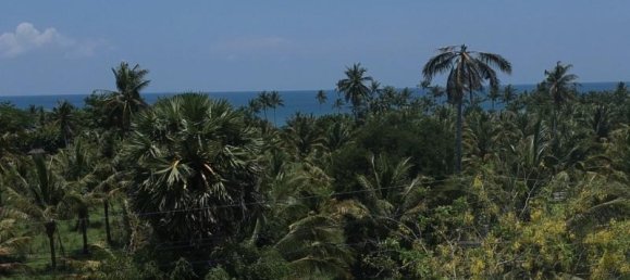  عقار تجاري في Khok Kloi, Thailand 1560متر مربع رقم 8233 2