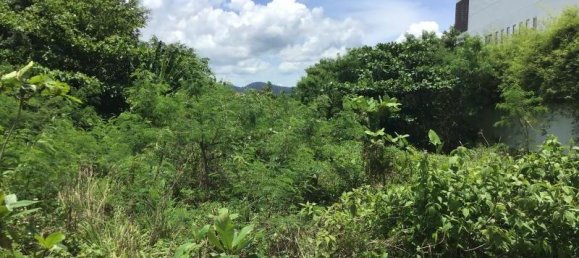  عقار تجاري في Khok Kloi, Thailand 1560متر مربع رقم 8233 4