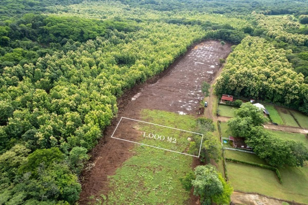  Land in Santa Cruz, Costa Rica No. 1452