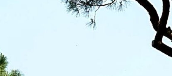 290 bedrooms Hotel in Bodrum, Turkey No. 5013 5