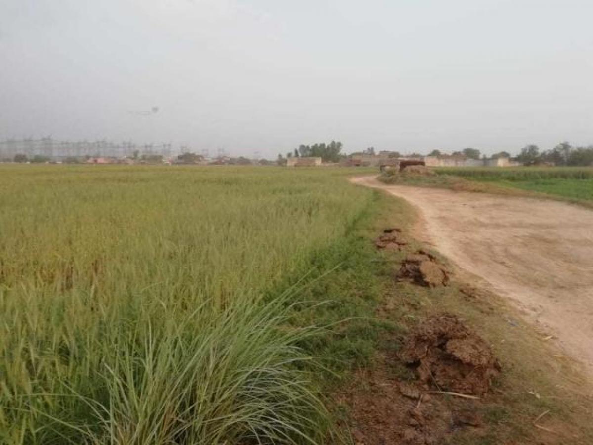  Land in Ghaziabad, India No. 36881