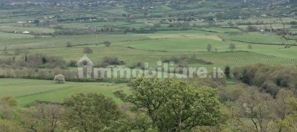 Grundstück in Trevignano Romano, Italy 16000m², Nr. 327663 20