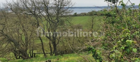 Grundstück in Trevignano Romano, Italy 16000m², Nr. 327663 16