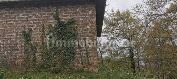 Grundstück in Trevignano Romano, Italy 16000m², Nr. 327663 23