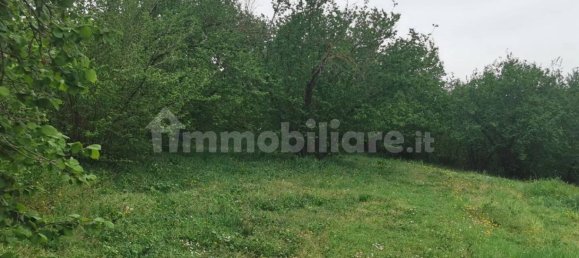 Grundstück in Trevignano Romano, Italy 16000m², Nr. 327663 9