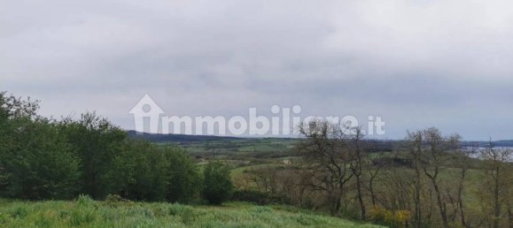 Grundstück in Trevignano Romano, Italy 16000m², Nr. 327663 10