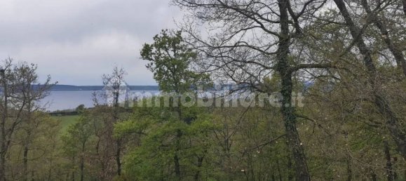 Grundstück in Trevignano Romano, Italy 16000m², Nr. 327663 7