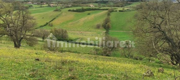 Grundstück in Trevignano Romano, Italy 16000m², Nr. 327663 14