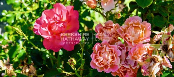 12 Schlafzimmer Villa in Brunate, Italy, Nr. 64967 21