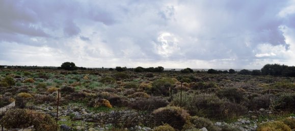  فندق في Chania, Greece 89000متر مربع رقم 5348 12