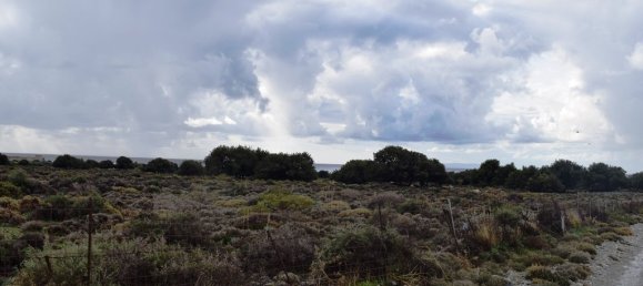 Отель, гостиница 89000м² в Ханья, Крит, Греция № 5348 15