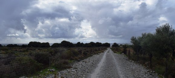  فندق في Chania, Greece 89000متر مربع رقم 5348 6