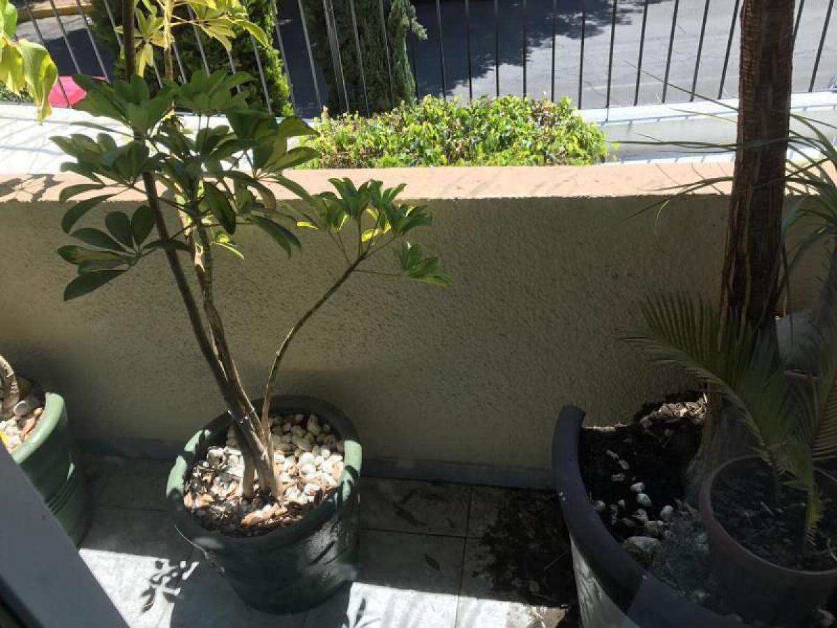 Casa T3 em Mexicali, Mexico N.º 147703