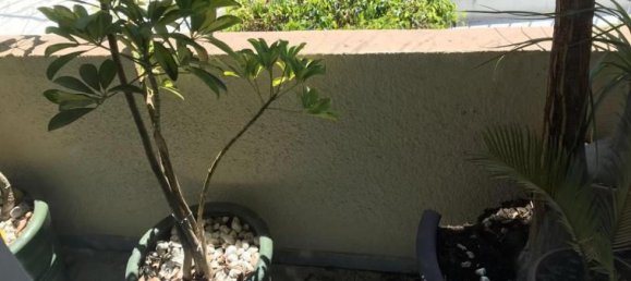 3 غرف نوم منزل في Mexicali, Mexico رقم 147703 2