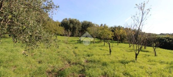 2700m² Land in Fonte Nuova, Italy No. 176457 18