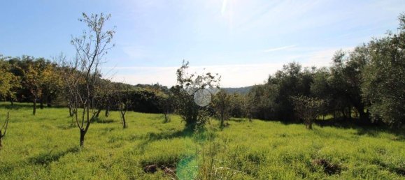 2700m² Land in Fonte Nuova, Italy No. 176457 7