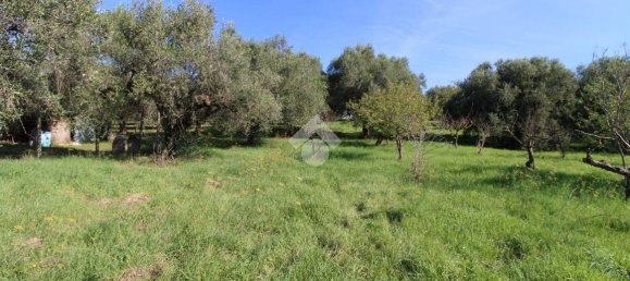 2700m² Land in Fonte Nuova, Italy No. 176457 2